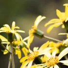 当事務所の特徴